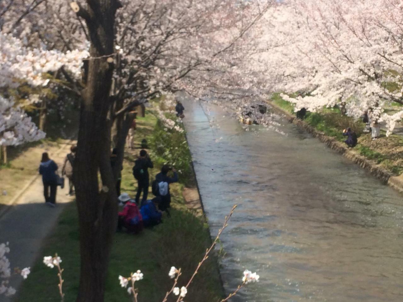 Suzume-An Villa Kyoto Luaran gambar